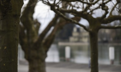 2023 02 08 goettibach und aarestrasse  7 von 