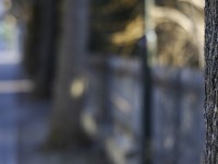 2023 02 10 seefeld thun  10 von 