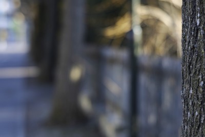 2023 02 10 seefeld thun  10 von 