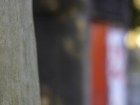 2023 02 10 seefeld thun  11 von 