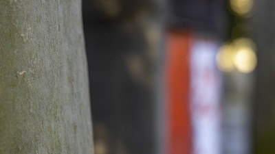 2023 02 10 seefeld thun  11 von 