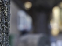 2023 02 10 seefeld thun  9 von 