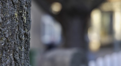 2023 02 10 seefeld thun  9 von 