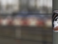 2023 02 13 thun hinter den gleisen  15 von 