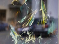 2023 02 17 selveareal  1 von 