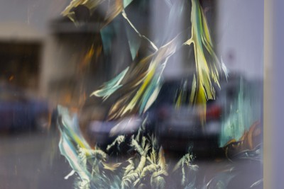 2023 02 17 selveareal  1 von 