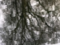 2023 02 17 selveareal  18 von 