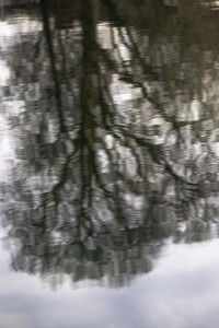 2023 02 17 selveareal  18 von 