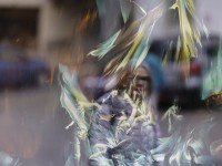 2023 02 17 selveareal  2 von 