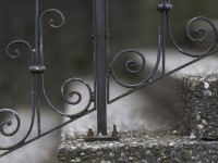 2023 02 17 thunerhof  von 