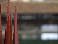 2023 02 17 thunerhof  9 von 