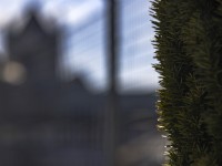 2023 02 20 hauptgasse thun   11 von 