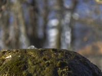 2023 02 20 hauptgasse thun   13 von 