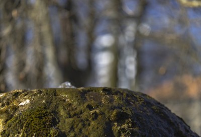 2023 02 20 hauptgasse thun   13 von 