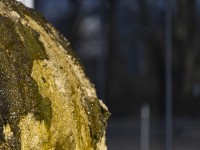 2023 02 20 hauptgasse thun   14 von 