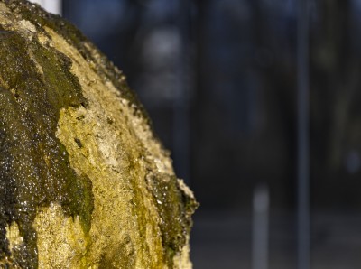 2023 02 20 hauptgasse thun   14 von 