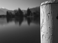 2023 02 24 thun  14 von 