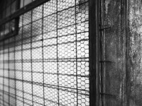 2023 02 24 thun  17 von 