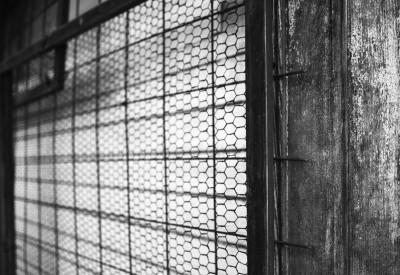 2023 02 24 thun  17 von 