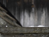 2023 01 23 schlossberg thun  10 von 