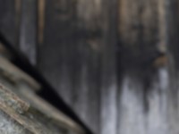 2023 01 23 schlossberg thun  11 von 