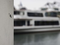 2023 01 25 bus und schiff thun  von 