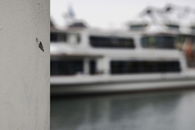 2023 01 25 bus und schiff thun  von 